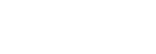 Bison Infotech